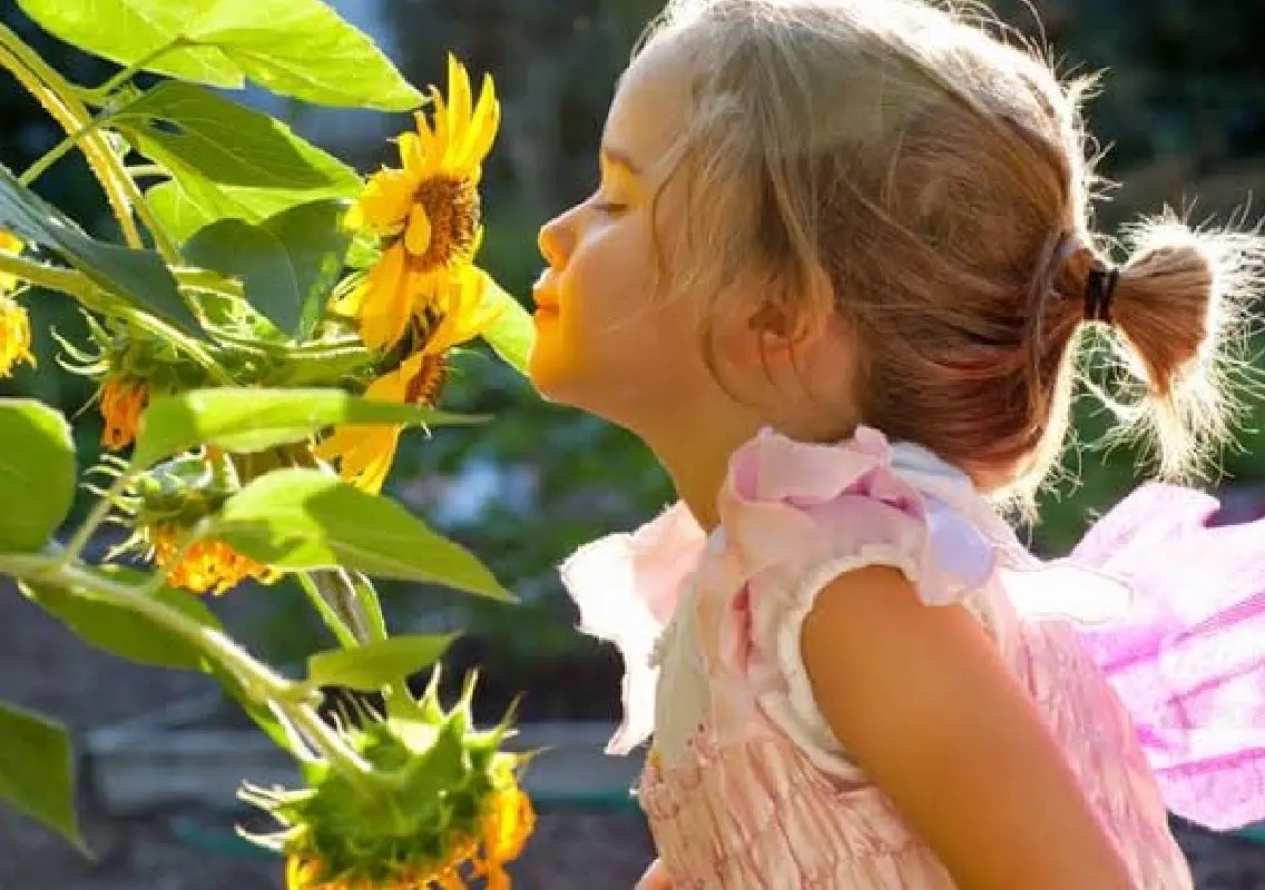 Why children should learn to understand the world through smell - News Karnataka