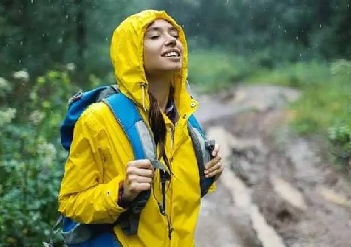 Why nature feels calming when your mind is constantly alert - News Karnataka