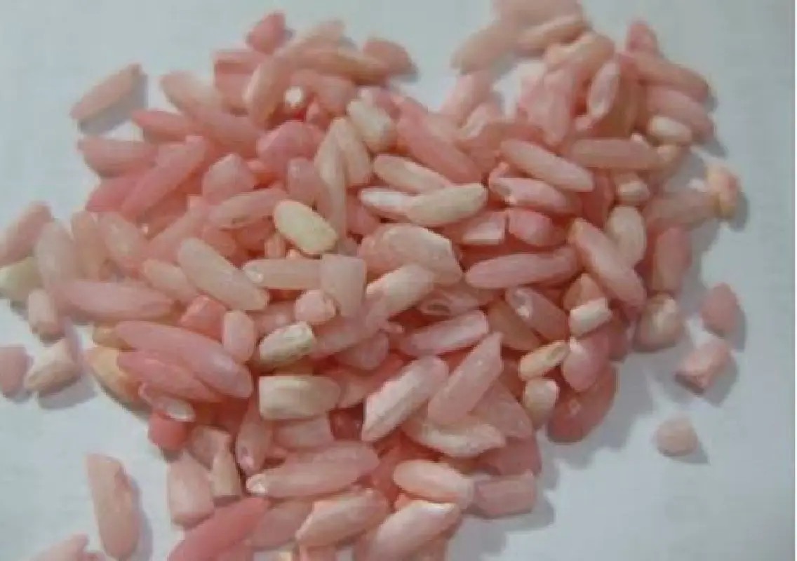 Woman dies after consuming rat poison mixed with rice - News Karnataka