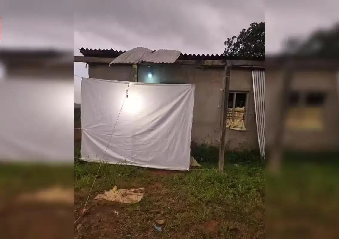 ZSI researchers use light traps to study moth diversity in DK - News Karnataka