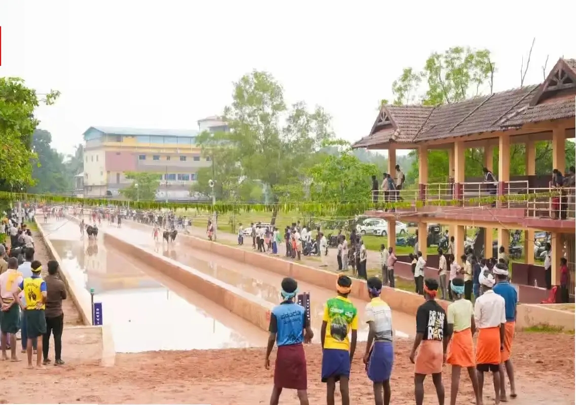 35 New Kambala Runners Take First Steps Towards Competitive Racing in Moodubidire - News Karnataka