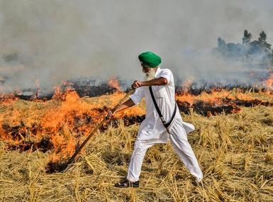Punjab farm fires: CAQM steps up stubble-burning crackdown - News Karnataka