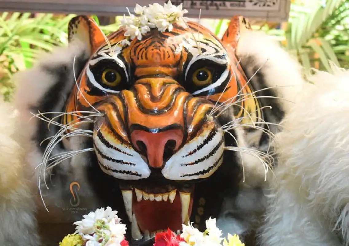 Biruver Kudla’s Pili Vesha adds colour to Mangaluru Dasara - News Karnataka
