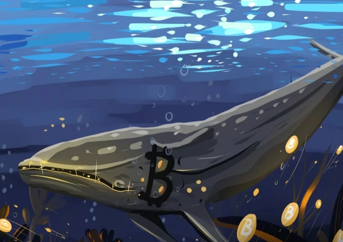 Bitcoin Whale Moves $378M After Six Years - News Karnataka