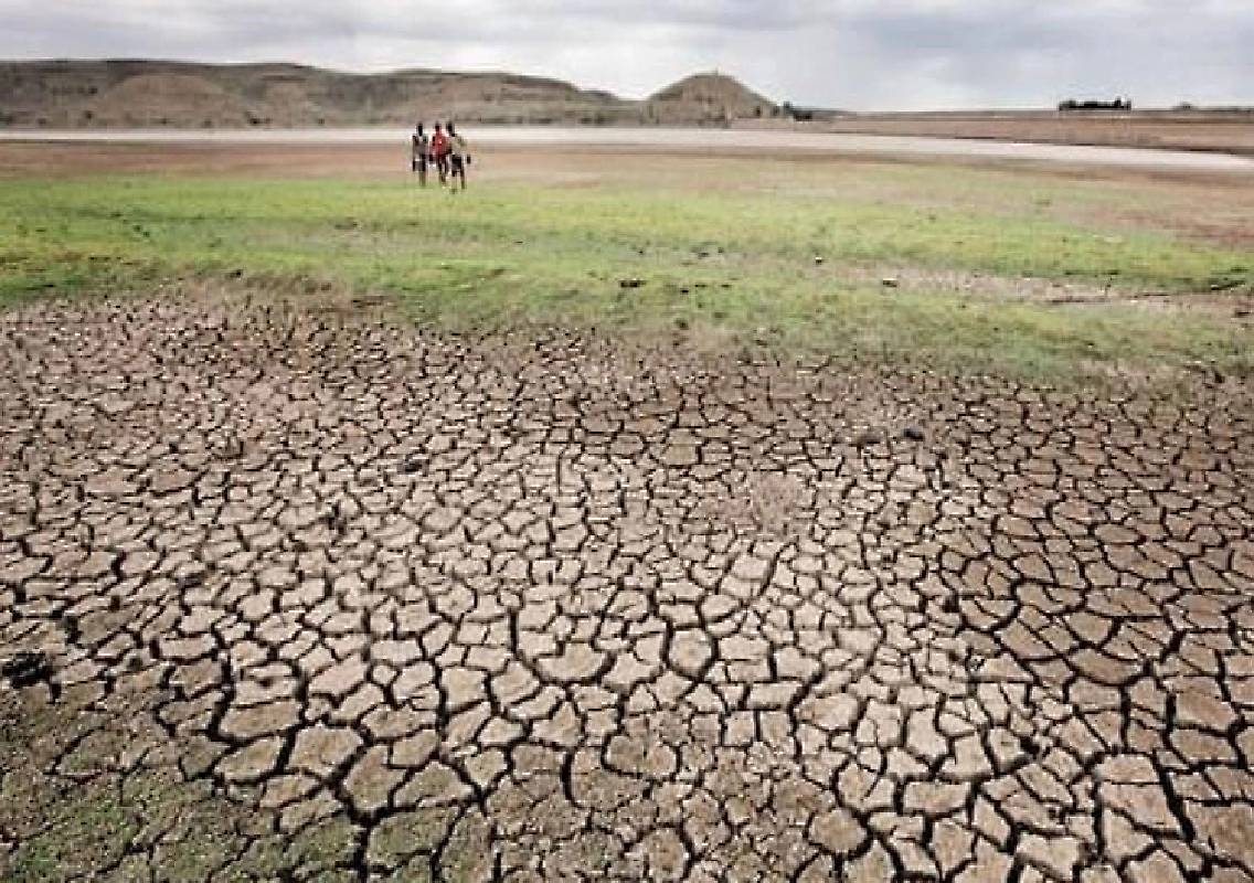 Five coastal Karnataka taluks declared drought-hit - News Karnataka