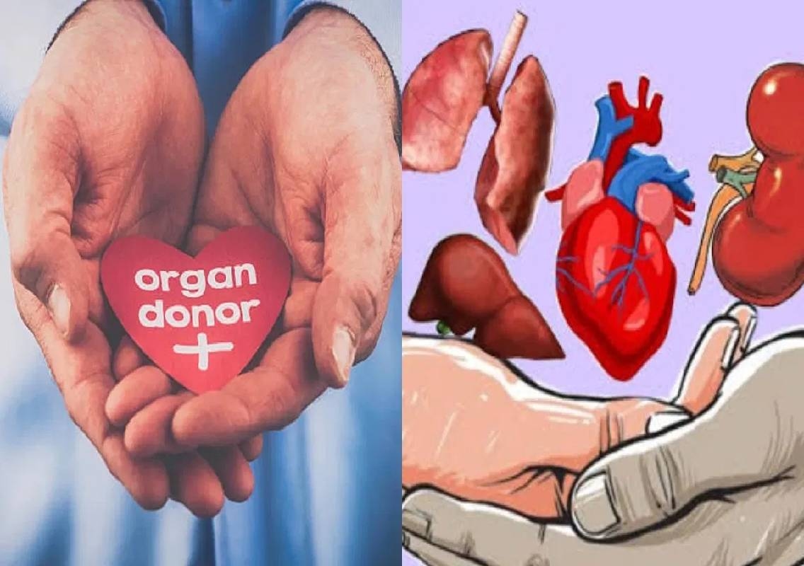Karnataka organ donation plan: 6,291 await transplants - News Karnataka