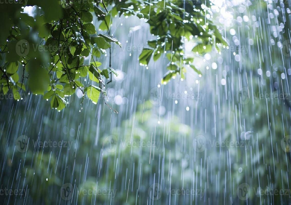 Karnataka Weather: IMD Forecasts Heavy Rain on October 23 - News Karnataka