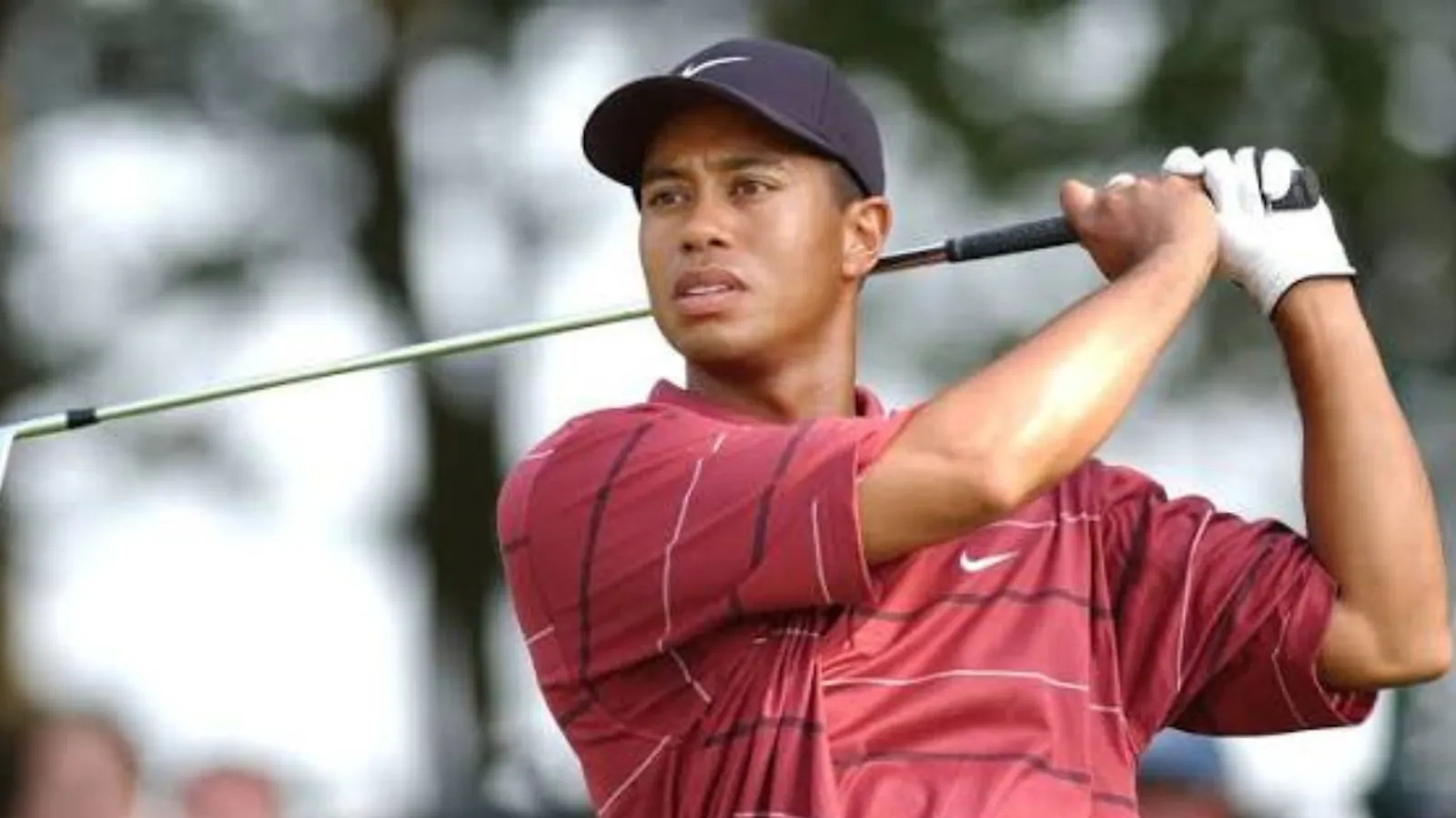 Michael Kim on Tiger Woods’ Champions Tour return - News Karnataka