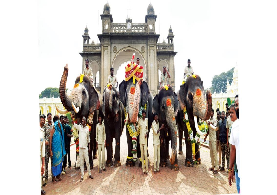 Abhimanyu returns to Mysore Palace for Dasara festivities - News Karnataka