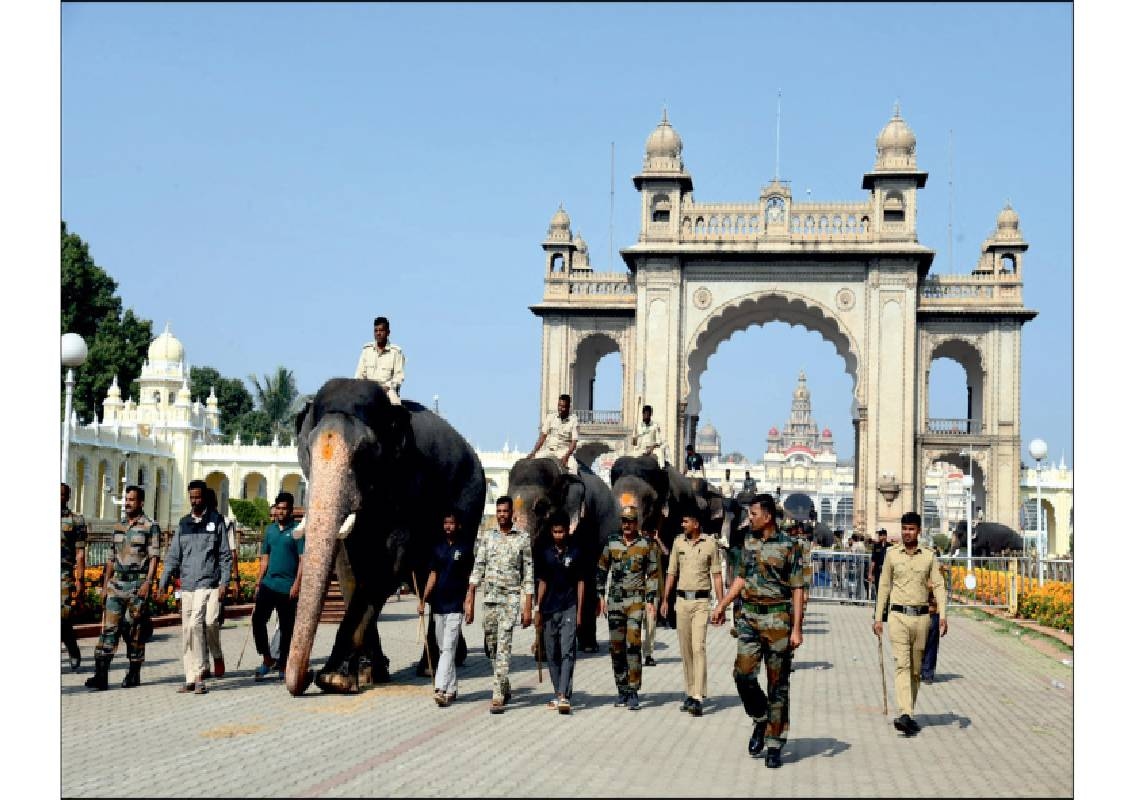 Mysuru Dasara 2026: Final Cannon Drill Completed - News Karnataka
