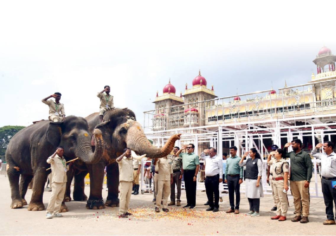 Mysuru Jumboo Savari on October 21, procession to begin at 4.10 pm - News Karnataka
