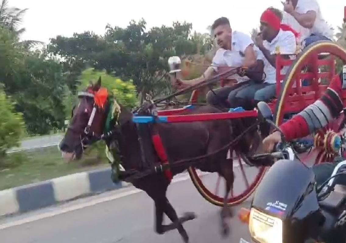 Horse-Cart Race on NH 75 Raises Safety Concerns - News Karnataka