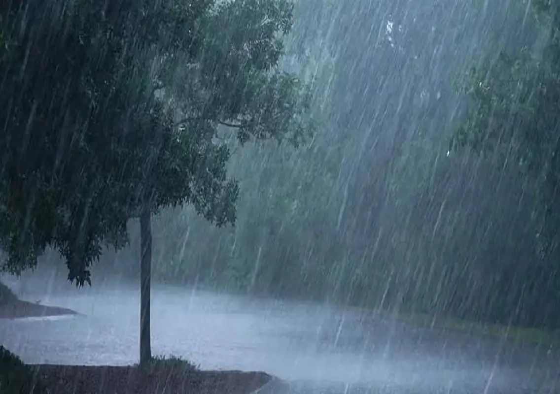 Rain, thunderstorms lash Udupi and Dakshina Kannada; more showers likely - News Karnataka