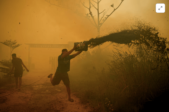 Indonesia wildfires destroy 305 houses in Bangka Belitung - News Karnataka