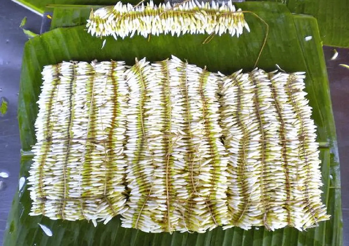 Shankerpura jasmine prices crash amid weak demand - News Karnataka