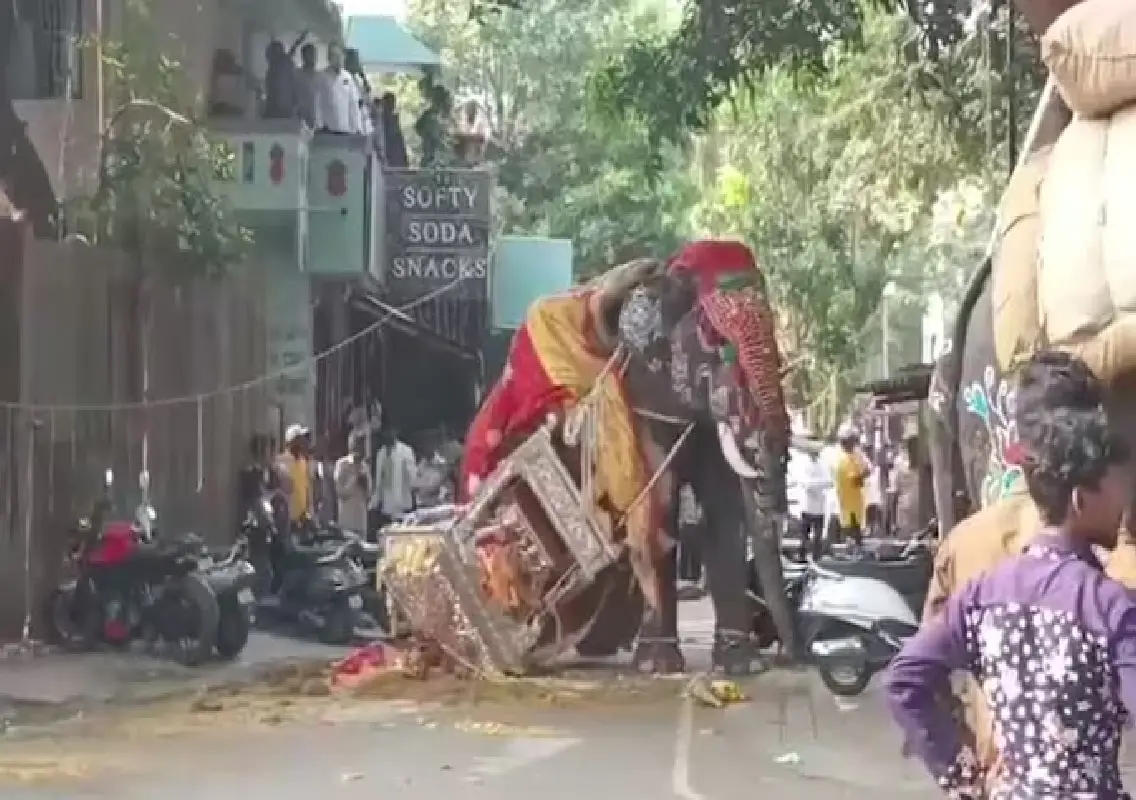 Shivamogga Dasara: Elephant runs amok, damages vehicles - News Karnataka