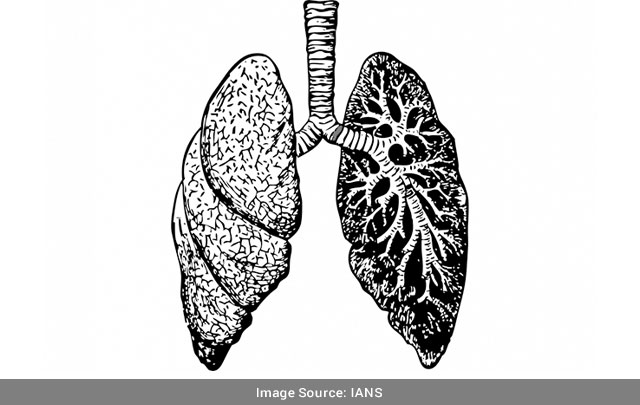Covid Causes Unexpected Cellular Response In Lungs Study Main