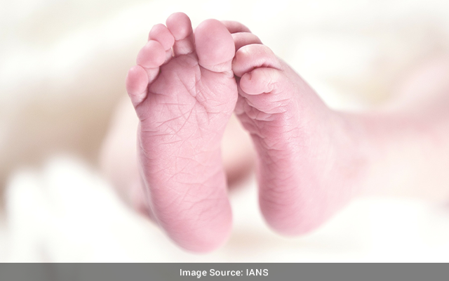 France registers spike in births after 6 yrs of decline