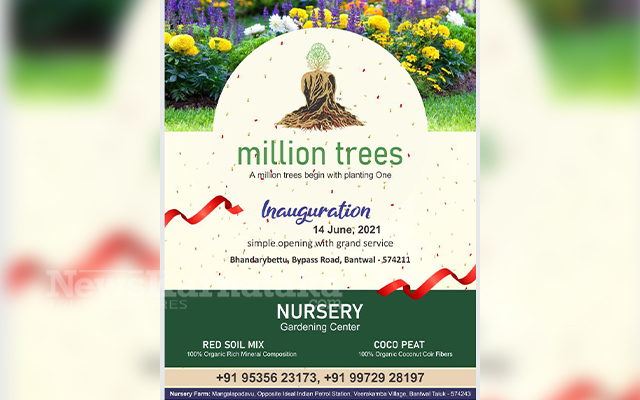 Million Trees Your Planting Partner 1