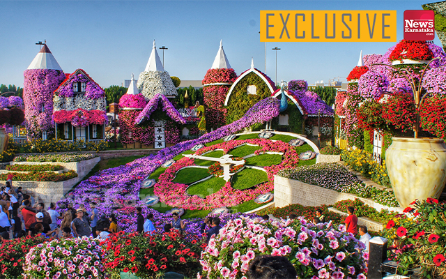 Miracle Garden In Dubai Enters Guinness Book Of Records
