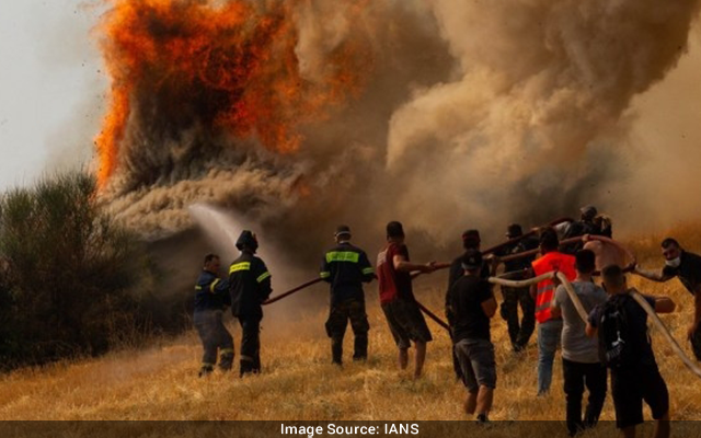 Greek wildfires biggest ecological disaster 13