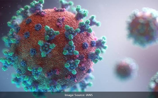 UK reports highest daily coronavirus death toll since March 8