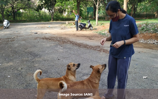 Canine Love Shruti2121