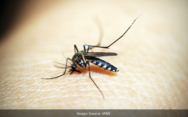 Dengue spread in DK, Udupi