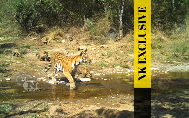 Chamarajanagara All Set To Become Nation's First Dist To Have Three Tiger Reserves