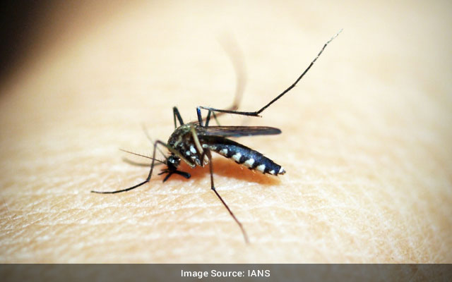 B'desh reports highest dengue deaths since Jan