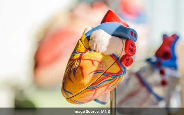 Heart care lies in your own hands says top cardiologist on World Heart Day