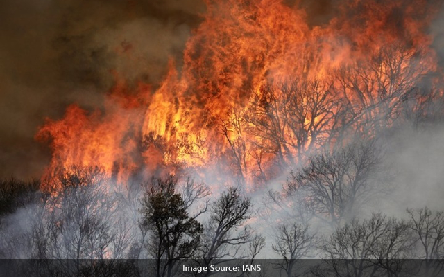 Over 1,600 Firefighters Battle New Blaze In California