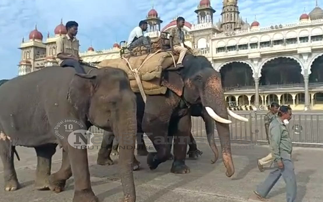 Practice Session Of Dasara Elephants Continue For Second Day In Mysuru