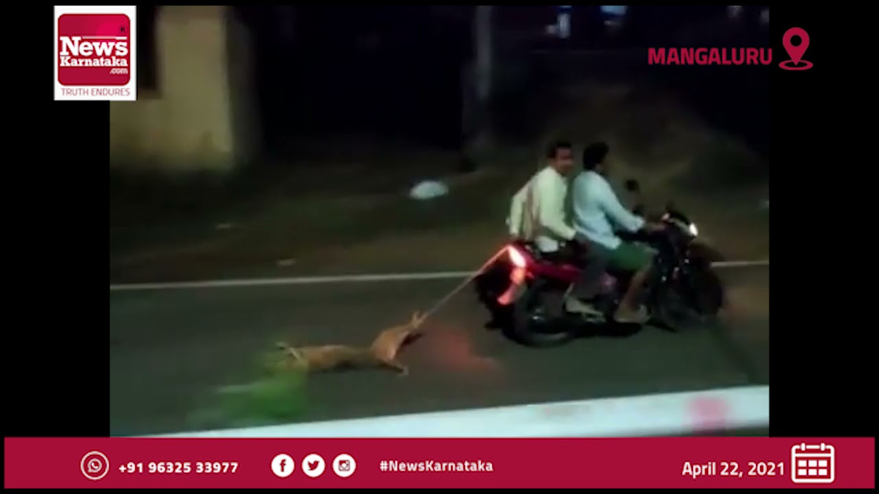 Dog Dragged By Men On Bike: Police Arrest Culprit On Netizens Demand 