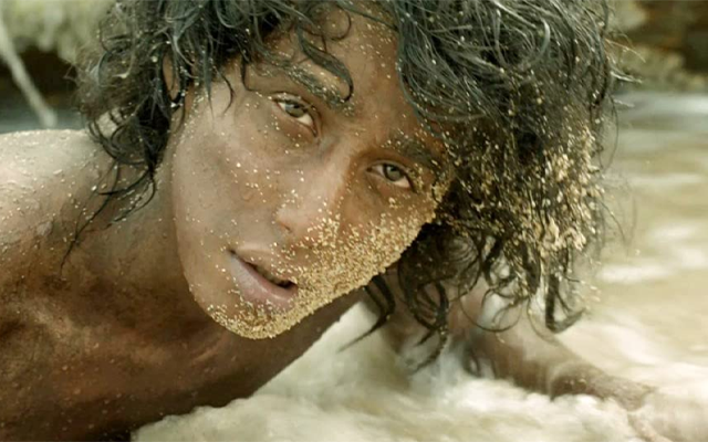 Life of Pi: A tale of survival and triumph