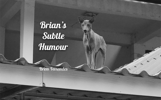 Brian's Subtle Humor 19102021