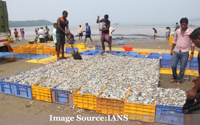Exporting Fish Goa 23102021
