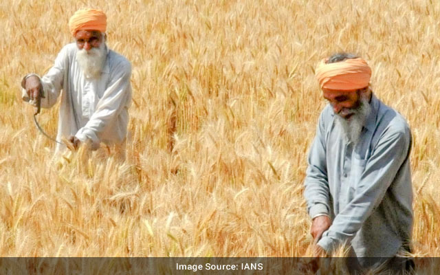 India may harvest over 112 mn tonnes of wheat