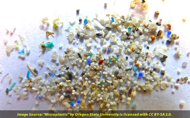Microplastics Arent Just A Problem For The Ocean Theyre In Our Soils Too