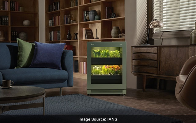 Lg Rolls Out Indoor Gardening Appliance Amid Pandemic Stress