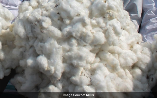 Cotton Import Duty Cut May Help Others Spur Indian Detriment Warns Panel