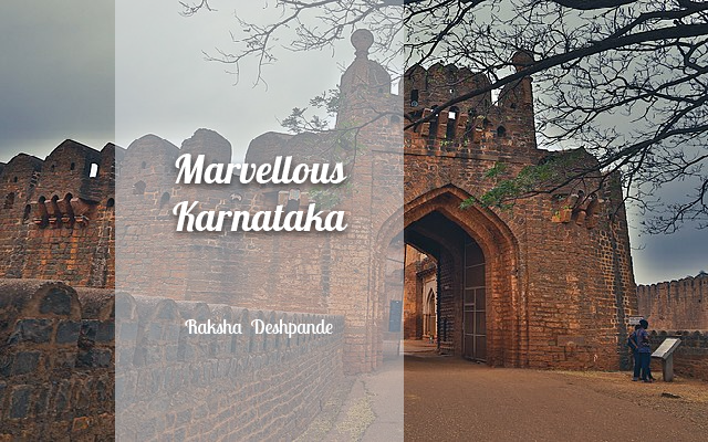 Marvellous Karnataka Raksha Deshpande 3
