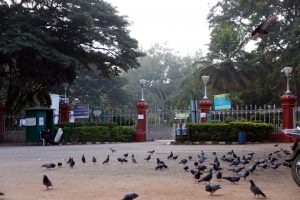 Lalbagh (1)