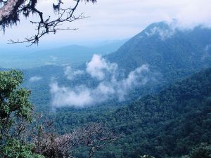 Agumbe View point