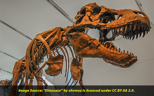 Dinosaurs were already in decline before the asteroid wiped them out