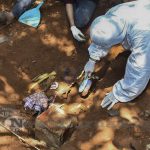 (8 Of 16)second Workshop On Id Of Forensic Remains Held At Yenepoya Deemed Univ (