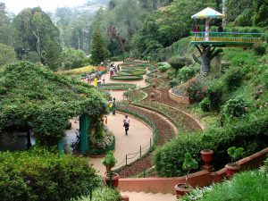 640px Botanical Gardens Ootacamund (ooty) India 03