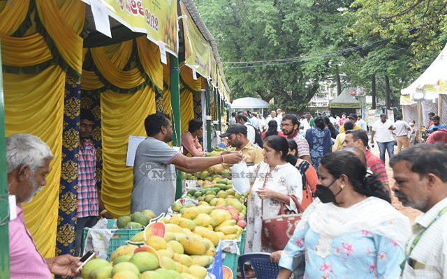 Mango festival Mysuru