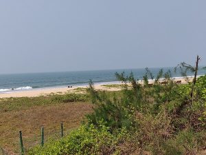 Thannirbavi Beach Mangaluru 06