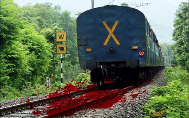 16-yr-old Kerala girl dies after being hit by train